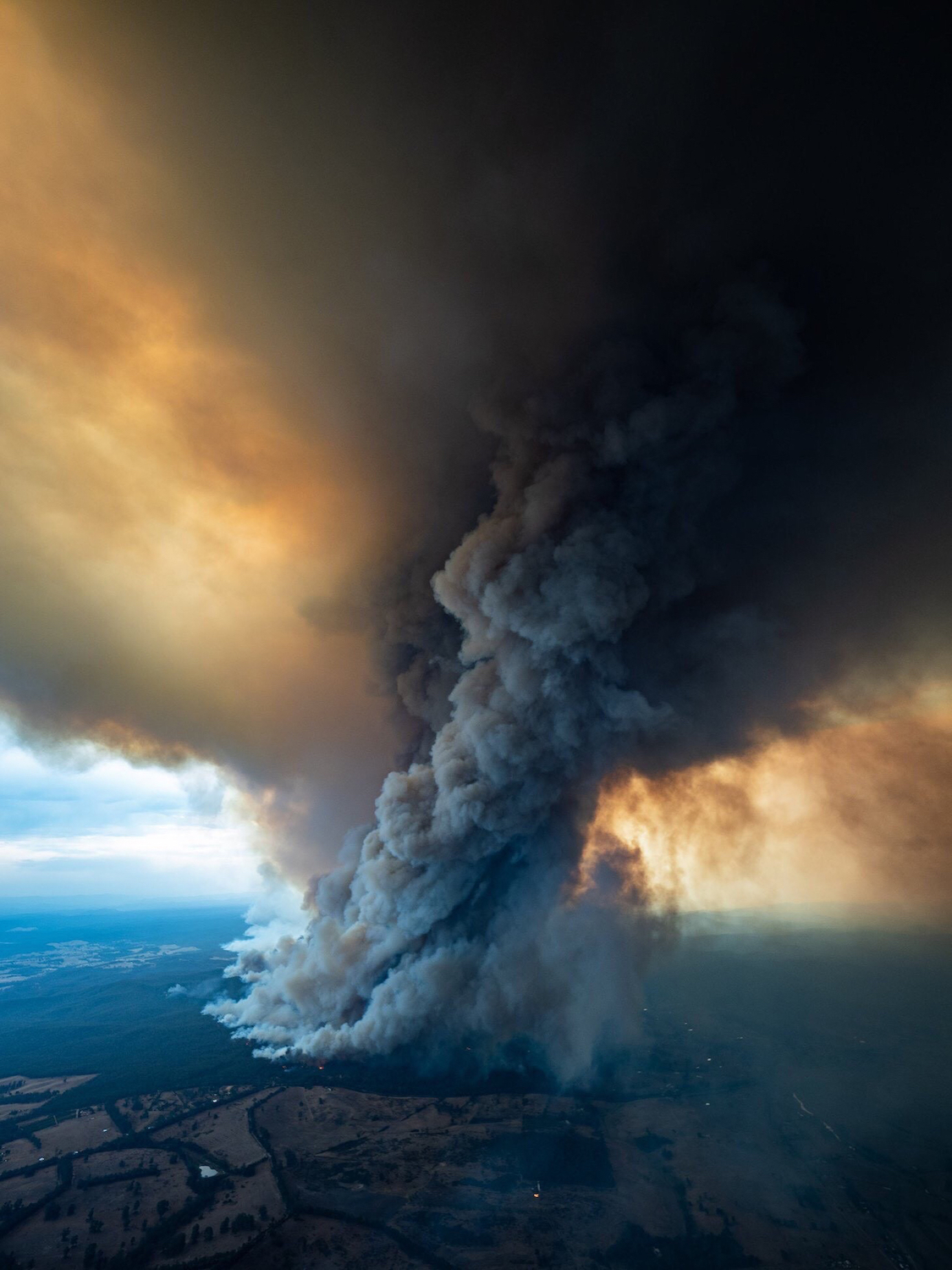 Bushfires: Can Ecosystems Recover From Such Dramatic Losses Of ...